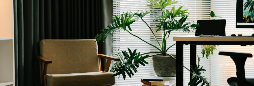 curtain suppliers melbourne
